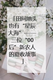 田间地头也有“星辰大海”——三位“00后”新农人的夏收故事