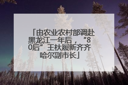 由农业农村部调赴黑龙江一年后，“80后”王杕履新齐齐哈尔副市长