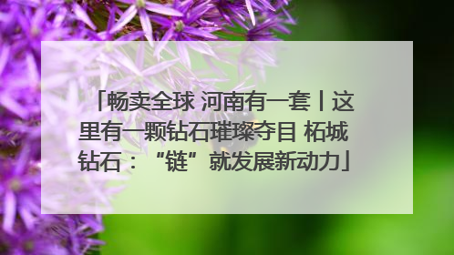 畅卖全球 河南有一套丨这里有一颗钻石璀璨夺目 柘城钻石：“链”就发展新动力
