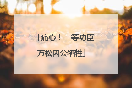 痛心！一等功臣万松因公牺牲