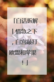 白话拆解丨情急之下，白宫敲打欧盟和苹果！