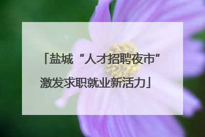 盐城“人才招聘夜市”激发求职就业新活力
