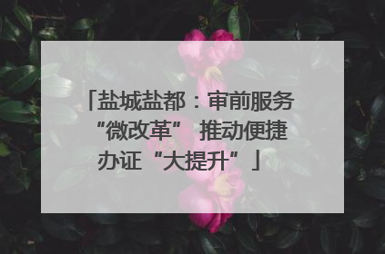 盐城盐都：审前服务“微改革” 推动便捷办证“大提升”