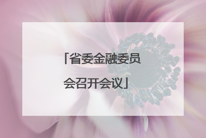 省委金融委员会召开会议