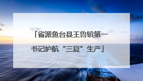 省派鱼台县王鲁镇第一书记护航“三夏”生产