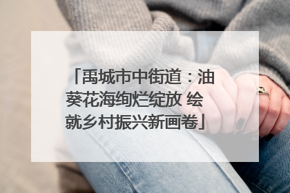 禹城市中街道：油葵花海绚烂绽放 绘就乡村振兴新画卷