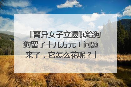 离异女子立遗嘱给狗狗留了十几万元！问题来了，它怎么花呢？