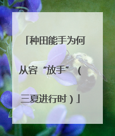 种田能手为何从容“放手”（三夏进行时）