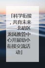 科学衔接，共育未来——北碚区龙凤教管中心开展幼小衔接交流活动