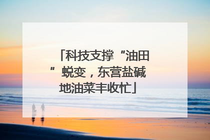 科技支撑“油田”蜕变，东营盐碱地油菜丰收忙