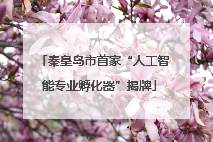 秦皇岛市首家“人工智能专业孵化器”揭牌