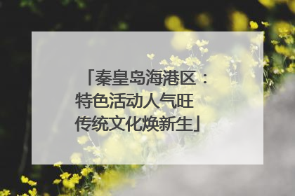 秦皇岛海港区：特色活动人气旺 传统文化焕新生