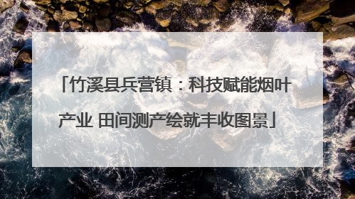 竹溪县兵营镇：科技赋能烟叶产业 田间测产绘就丰收图景