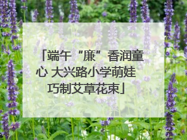 端午“廉”香润童心 大兴路小学萌娃巧制艾草花束