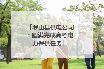 罗山县供电公司：圆满完成高考电力保供任务