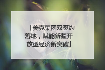 美克集团双签约落地，赋能新疆开放型经济新突破