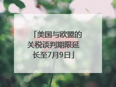 美国与欧盟的关税谈判期限延长至7月9日