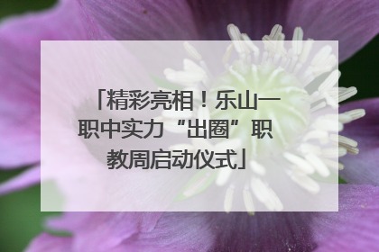 精彩亮相！乐山一职中实力“出圈”职教周启动仪式