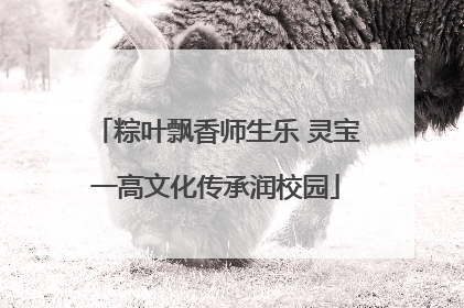 粽叶飘香师生乐 灵宝一高文化传承润校园
