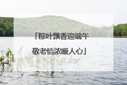 粽叶飘香迎端午 敬老情浓暖人心