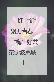 红“新”聚力青春 “梅”好共荣宁波慈城