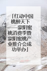 红动中国 桃醉天下——蒙阴蜜桃消费季暨蒙阴蜜桃产业推介会成功举办