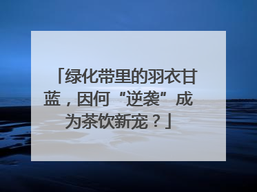 绿化带里的羽衣甘蓝,因何“逆袭”成为茶饮新宠?