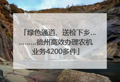 绿色通道、送检下乡…………德州高效办理农机业务4200多件