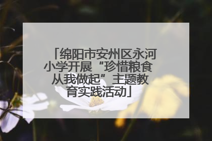 绵阳市安州区永河小学开展“珍惜粮食 从我做起”主题教育实践活动