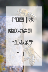 组图｜水陆联动清剿“生态杀手”