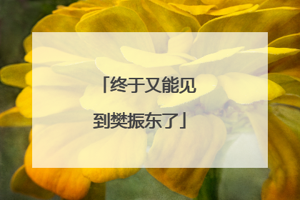 终于又能见到樊振东了