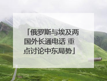 俄罗斯与埃及两国外长通电话 重点讨论中东局势