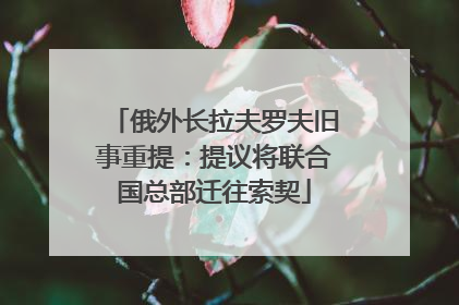 俄外长拉夫罗夫旧事重提：提议将联合国总部迁往索契