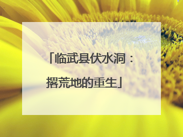 临武县伏水洞：撂荒地的重生