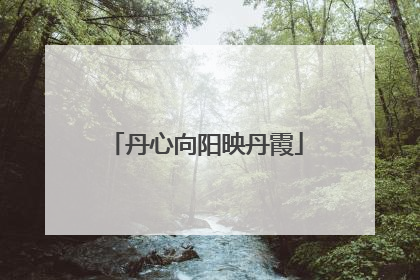 丹心向阳映丹霞