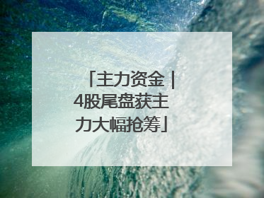 主力资金｜4股尾盘获主力大幅抢筹