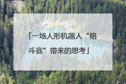 一场人形机器人“格斗赛”带来的思考