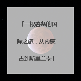 一根薯条的国际之旅，从内蒙古到斯里兰卡
