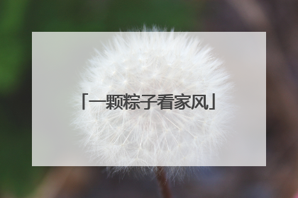 一颗粽子看家风