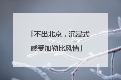 不出北京，沉浸式感受加勒比风情