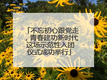 不忘初心跟党走，青春建功新时代 这场示范性入团仪式成功举行