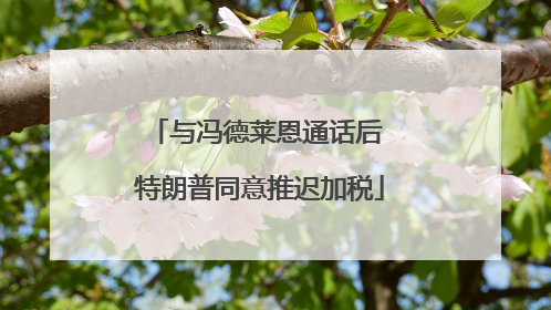 与冯德莱恩通话后 特朗普同意推迟加税