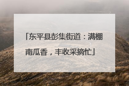 东平县彭集街道：满棚南瓜香，丰收采摘忙
