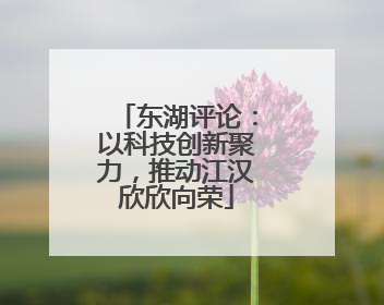东湖评论：以科技创新聚力，推动江汉欣欣向荣