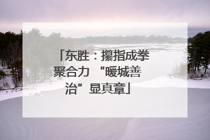 东胜：攥指成拳聚合力 “暖城善治”显真章