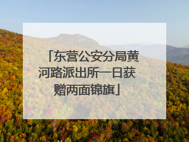 东营公安分局黄河路派出所一日获赠两面锦旗