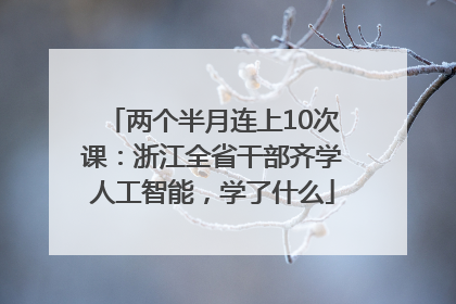 两个半月连上10次课：浙江全省干部齐学人工智能，学了什么