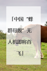 中国“蜂群母舰”无人机即将首飞
