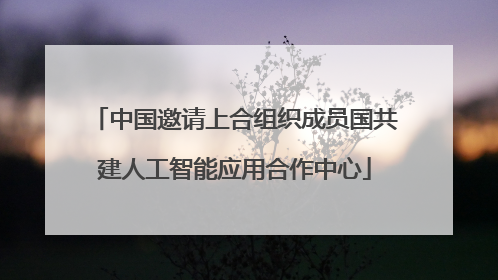 中国邀请上合组织成员国共建人工智能应用合作中心