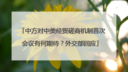 中方对中美经贸磋商机制首次会议有何期待？外交部回应